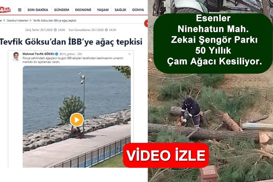 Hem Keserim Hem Davul Çalarım