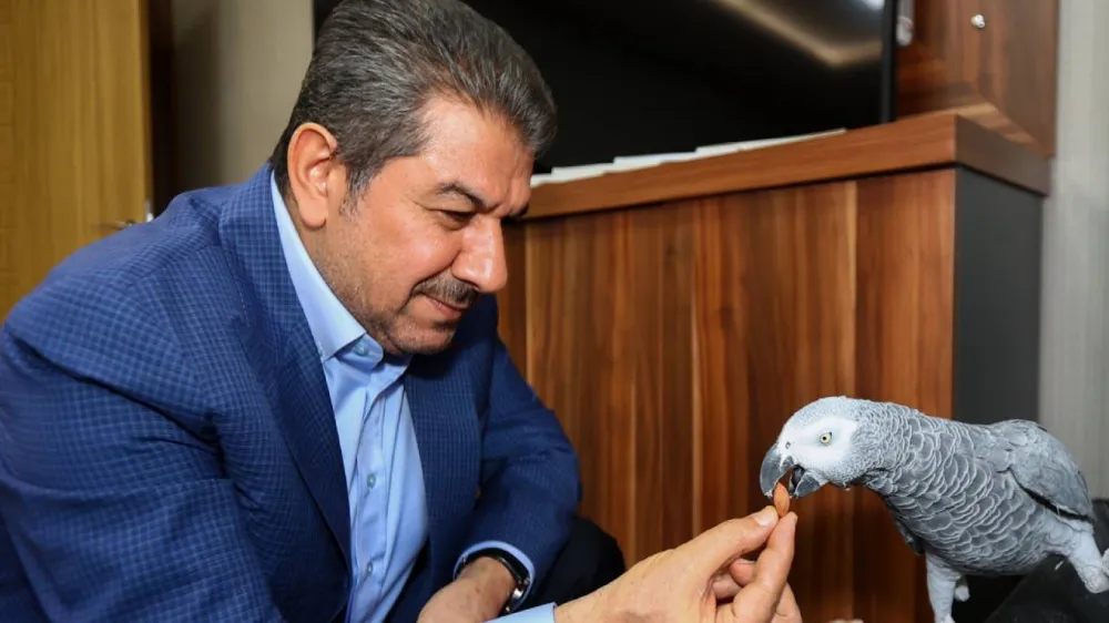 Ruh sağlığı hastaları Göksu’ya ‘emanet’