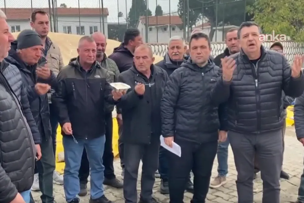 Edirneli üreticinin çeltiği elde kaldı