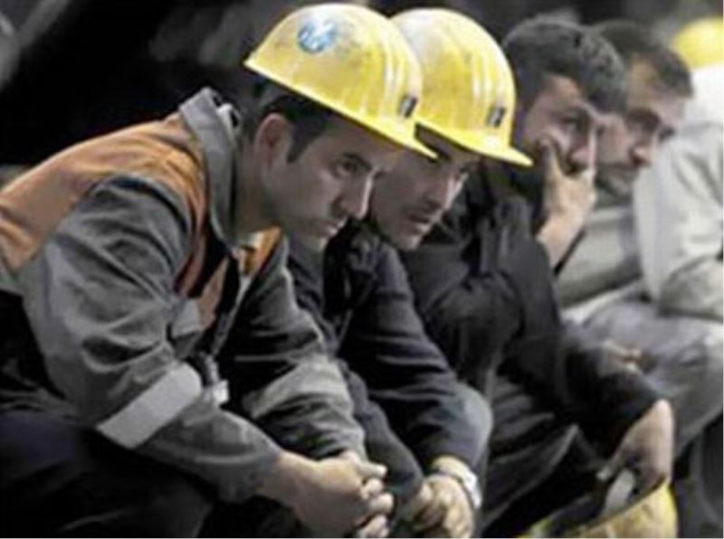 Taseronda ?kok çiçegim` dönemi!