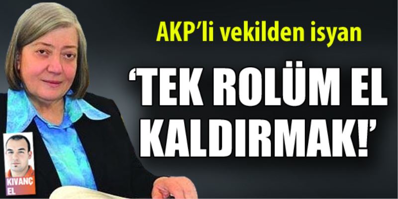 AKP`li vekil Tülay Bakir arkadaslarina sitem etti!