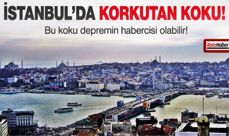 Istanbul`da korkutan kükürt kokusu