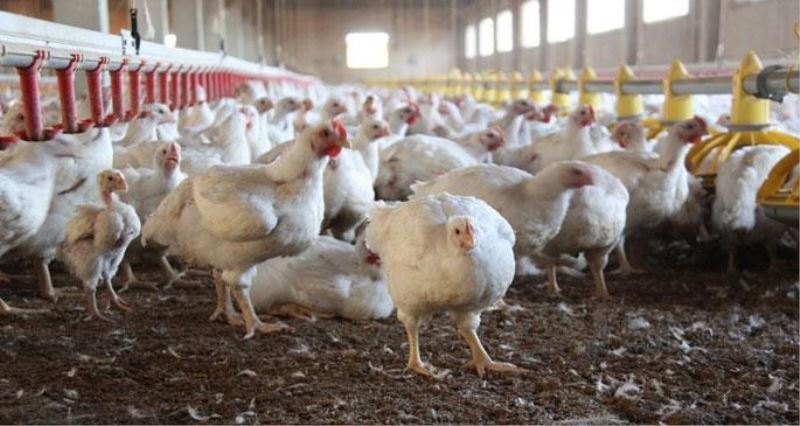 ?Soguk alginligi nedeniyle öldü?