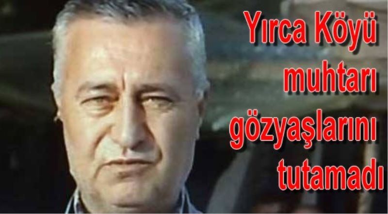 6 bin agaci kestiler, Yirca Köyü muhtari gözyaslarini tutamadi