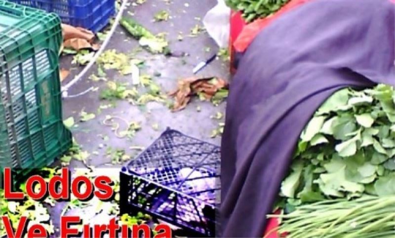 Lodos ve Firtina Esenler`i de olumsuz etkiledi