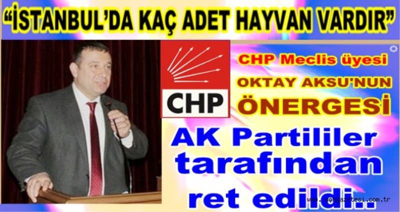 Istanbul`da sahipli ve sahipsiz hayvan önergesi ret edildi