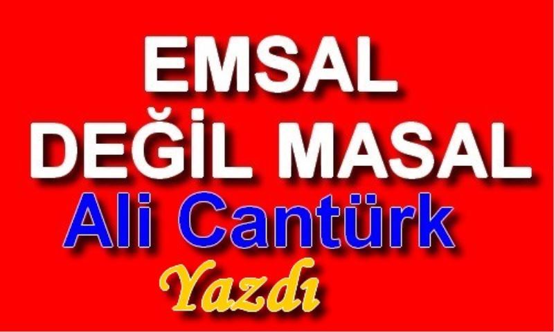 EMSAL DEGIL MASAL