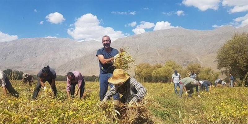 `Komünist Baskan` hasada basladi