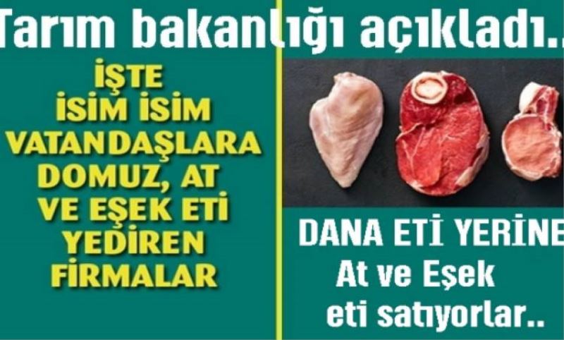 Bakanlik Domuz, At, ve Esek eti satan firmalari açikladi..