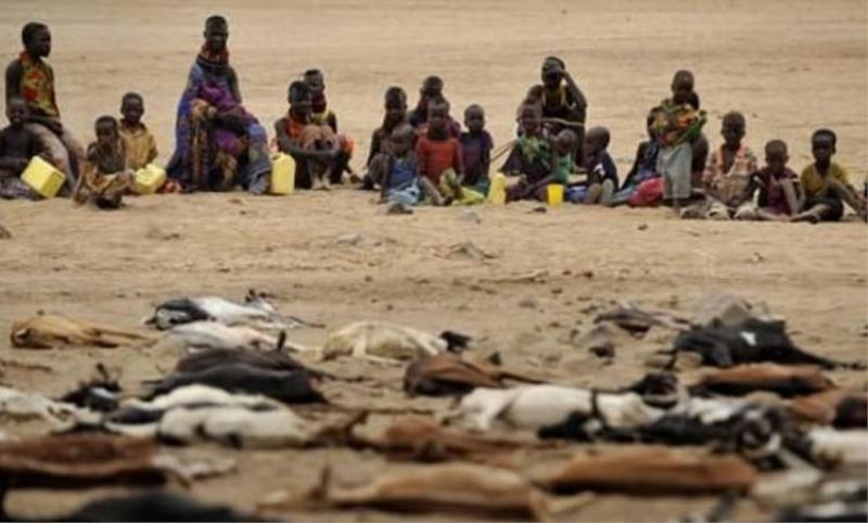 DÜNYA Gazete Patika > Dünya > Hindistan’da 5 yilda 4 bin 700 intihar; Göç, sefalet, kuraklik, kitlik…Hindistan’da 5 yilda 4 bin 700 intihar; Göç, sefalet, kuraklik, kitlik…