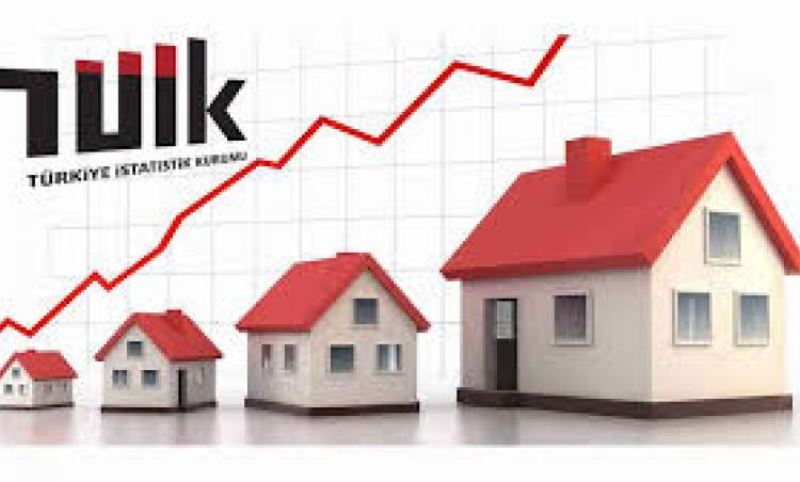 Konut Satis Istatistikleri, Ocak 2020