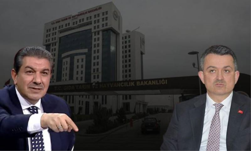 Pakdemirli ve Göksu neden bulustu