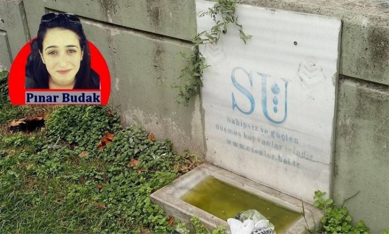 Yem ve su takviyesi yapilmiyor!